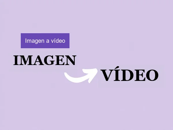 Imagen a Video